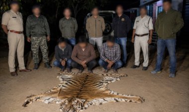 बाघ की खाल के साथ 3 संदिग्ध हिरासत में, सूरजपुर में WCCB की छापेमारी