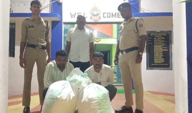 ओडिशा से महाराष्ट्र ले जाई जा रही 48 किलो गांजे की खेप पकड़ी गई, तीन तस्कर गिरफ्तार