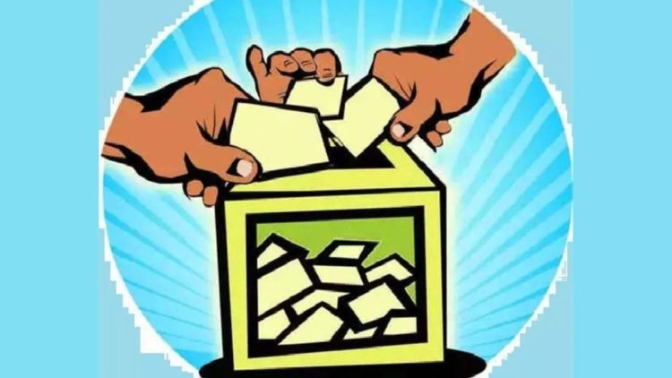 बिरगांव, भिलाई, चरौदा, रिसाली समेत 15 निकायों में चुनाव की तैयारियां शुरू