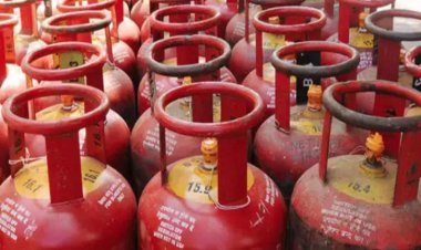 छत्तीसगढ़ में पहली बार 10 किलो वाला सिलेंडर, कीमत 730 रुपए तक एप से होगी बुकिंग; 15 से शुभारंभ