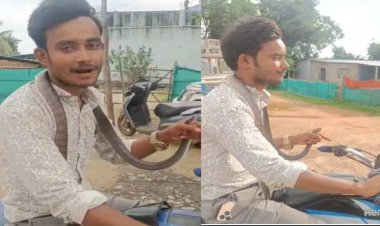 सांप के काटने के बाद उसी सांप को गले में डालकर अस्पताल पहुंचा युवक, वीडियो वायरल