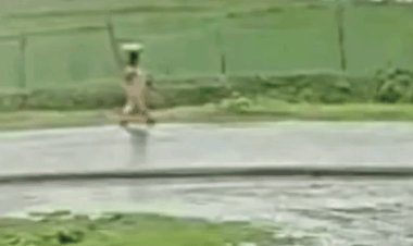 प्रदेश में भारी बारिश का चेतावनी, मुंगेली में महिला पर बिजली गिरी