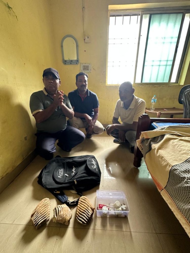 हाथी दांत तस्करी पर वन विभाग की बड़ी कार्रवाई: तीन तस्कर गिरफ्तार, धर्मशाला से बरामद हुए हाथी के दांत