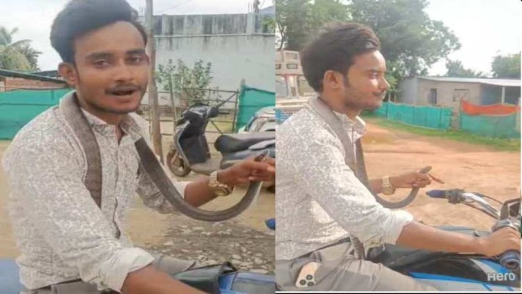 सांप के काटने के बाद उसी सांप को गले में डालकर अस्पताल पहुंचा युवक, वीडियो वायरल