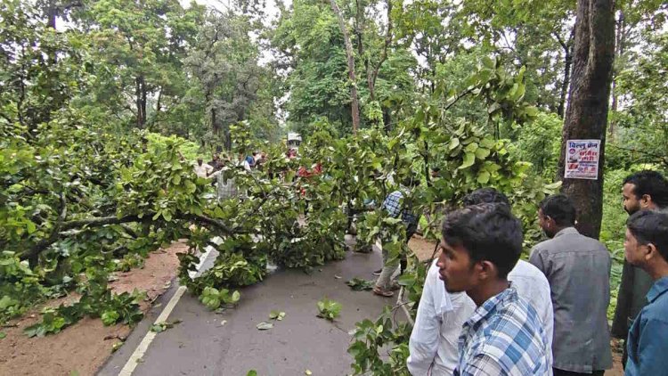 नेशनल हाईवे 130C पर फिर लगा जाम, विशालकाय पेड़ गिरने से वाहनों की लंबी कतार