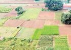 कृषि भूमि पर अब अस्पताल, मॉल नहीं आवासीय में गोदाम-कबाडख़ाने पर रोक