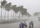 भारी बारिश के चलते धमतरी में स्कूल कॉलेज बंद