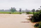 बस्तर में बारिश का कहर : ओडिशा से संपर्क टूटा, पुलिया पर 4 फीट पानी, सड़कों पर लगा जाम