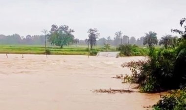 बस्तर में बारिश का कहर : ओडिशा से संपर्क टूटा, पुलिया पर 4 फीट पानी, सड़कों पर लगा जाम
