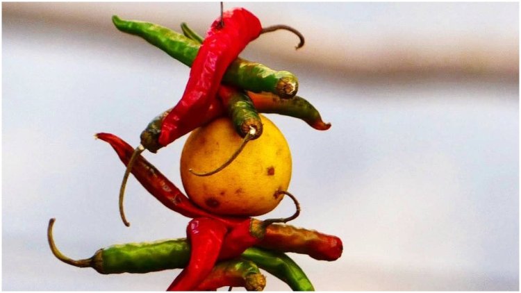 स्कूल के मुख्य गेट पर बंधी मिली नींबू-मिर्ची, मचा हड़कंप