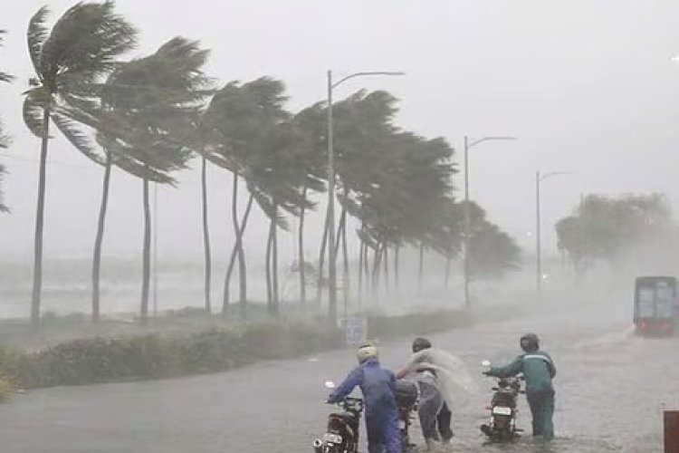 भारी बारिश के चलते धमतरी में स्कूल कॉलेज बंद