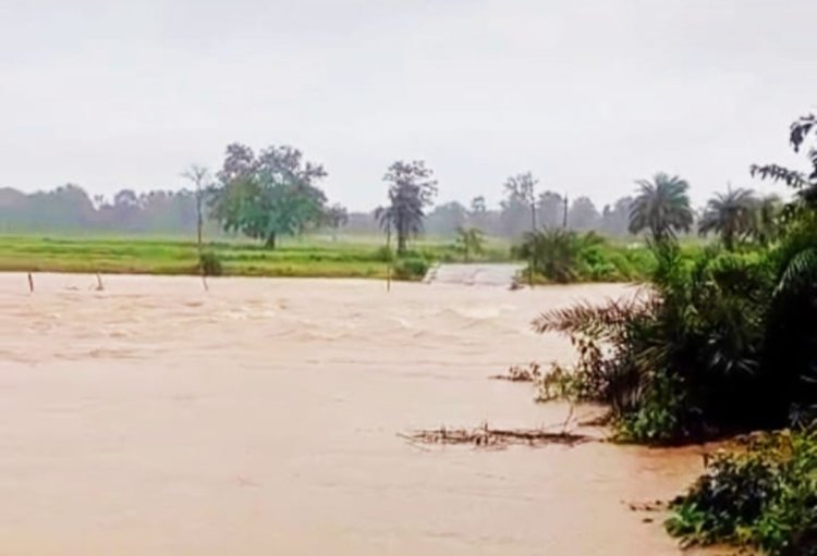 बस्तर में बारिश का कहर : ओडिशा से संपर्क टूटा, पुलिया पर 4 फीट पानी, सड़कों पर लगा जाम