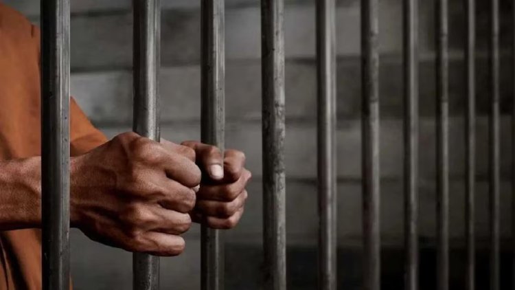 चरित्र शंका में हथौड़े से वार कर पत्नी की हत्या करने वाले पति को उम्रकैद: बिलासपुर कोर्ट ने सुनाई आजीवन कारावास की सजा