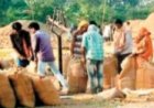 छत्तीसगढ़ में 160 लाख मीट्रिक टन लक्ष्य,15 नवंबर से 31 जनवरी तक धान खरीदी