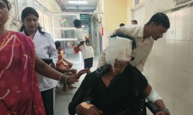 घर में घुसे तेंदुए का तांडव: मासूम समेत 6 लोगों पर किया जानलेवा हमला, गांव में दहशत का माहौल