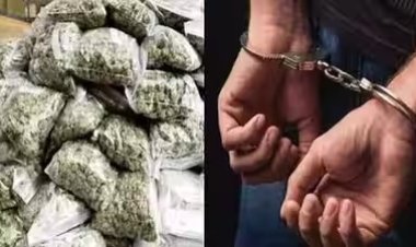 गांजा तस्करी की महिला सरगना गिरफ्तार, युवाओं को कमीशन देकर भेजती थी खेप