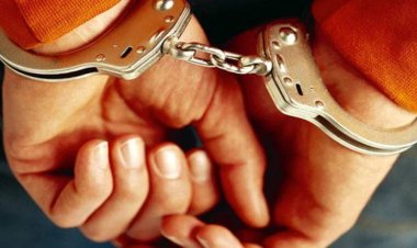गरबा ड्रेस में सिगरेट पीने और पिस्टलनुमा वस्तु दिखाने का मामला, 9 गिरफ्तार