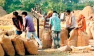 छत्तीसगढ़ में 160 लाख मीट्रिक टन लक्ष्य,15 नवंबर से 31 जनवरी तक धान खरीदी