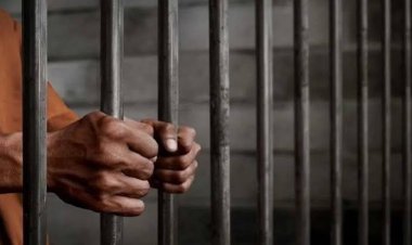 बिलासपुर में रेत के अवैध परिवहन पर कोर्ट का कड़ा रुख: आरोपी को 3 साल की सजा और 26 हजार रुपये का जुर्माना