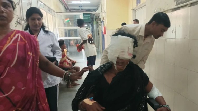 घर में घुसे तेंदुए का तांडव: मासूम समेत 6 लोगों पर किया जानलेवा हमला, गांव में दहशत का माहौल