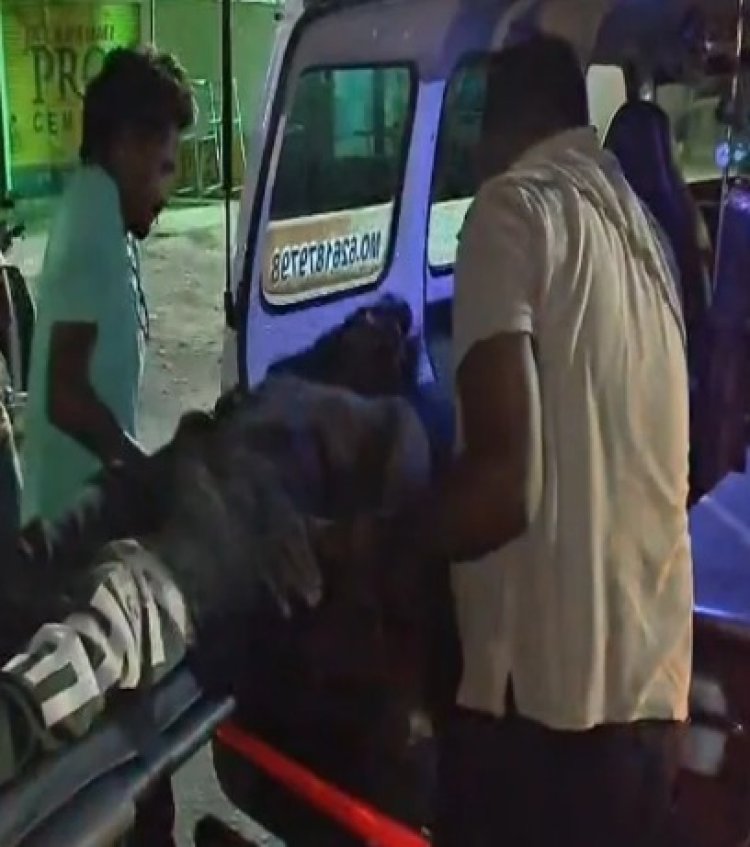 धमतरी के रत्नाबांधा में दर्दनाक सड़क हादसा: अनियंत्रित वाहन की चपेट में आने से युवक की मौत; इलाके में शोक की लहर