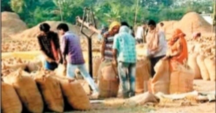 छत्तीसगढ़ में 160 लाख मीट्रिक टन लक्ष्य,15 नवंबर से 31 जनवरी तक धान खरीदी
