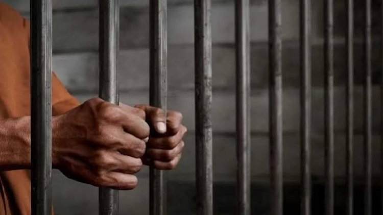बिलासपुर में रेत के अवैध परिवहन पर कोर्ट का कड़ा रुख: आरोपी को 3 साल की सजा और 26 हजार रुपये का जुर्माना
